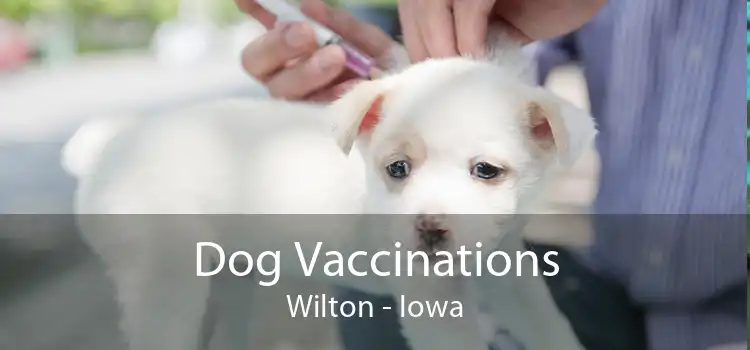 Dog Vaccinations Wilton - Iowa