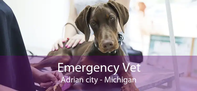 Emergency Vet Adrian city - Michigan