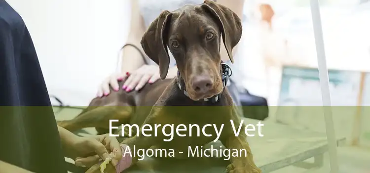 Emergency Vet Algoma - Michigan