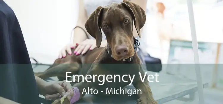 Emergency Vet Alto - Michigan