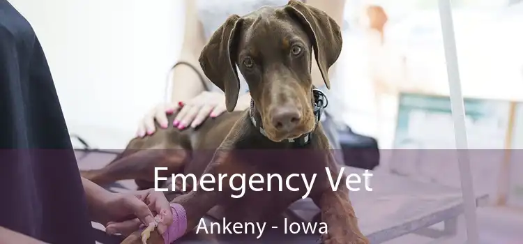 Emergency Vet Ankeny - Iowa