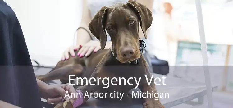 Emergency Vet Ann Arbor city - Michigan