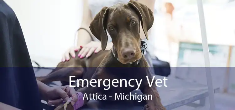 Emergency Vet Attica - Michigan