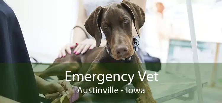 Emergency Vet Austinville - Iowa