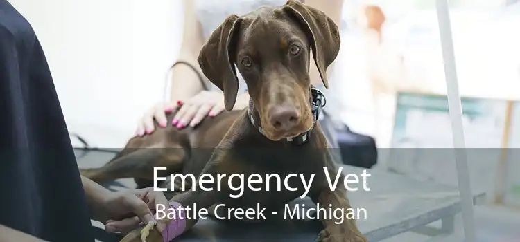 Emergency Vet Battle Creek - Michigan