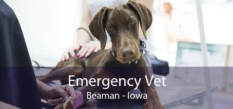 Emergency Vet Beaman - Iowa