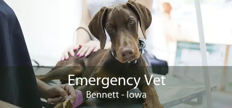 Emergency Vet Bennett - Iowa