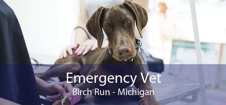 Emergency Vet Birch Run - Michigan