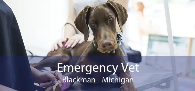 Emergency Vet Blackman - Michigan