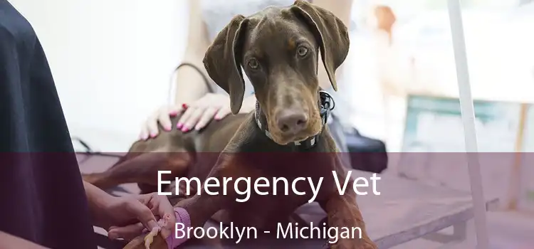 Emergency Vet Brooklyn - Michigan