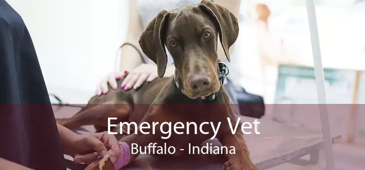 Emergency Vet Buffalo - Indiana