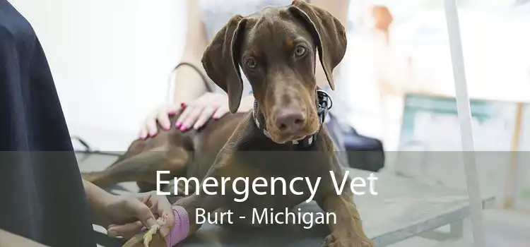 Emergency Vet Burt - Michigan