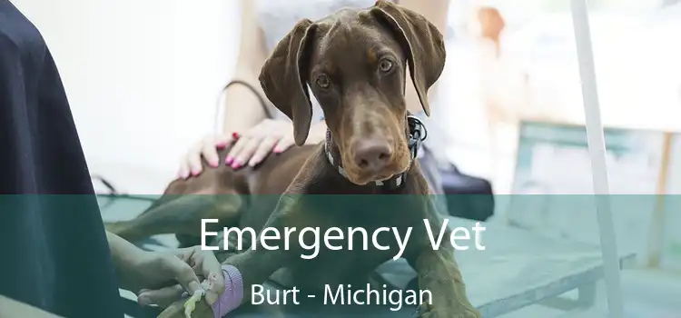 Emergency Vet Burt - Michigan