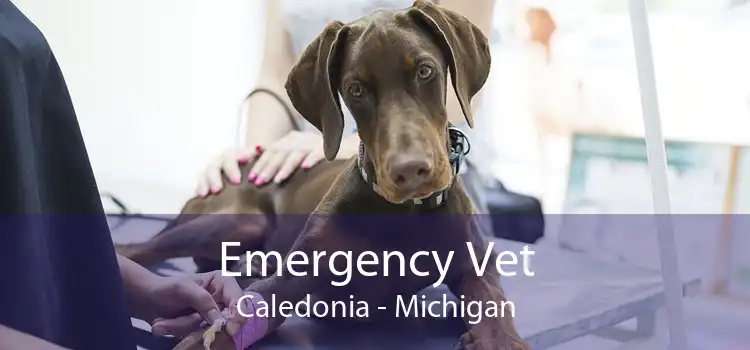 Emergency Vet Caledonia - Michigan