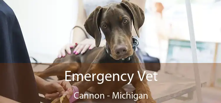 Emergency Vet Cannon - Michigan