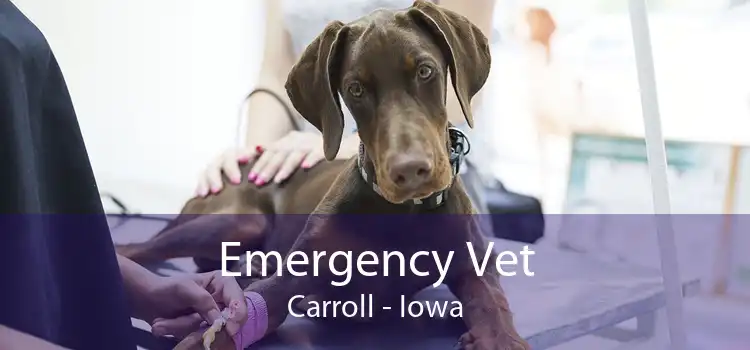 Emergency Vet Carroll - Iowa