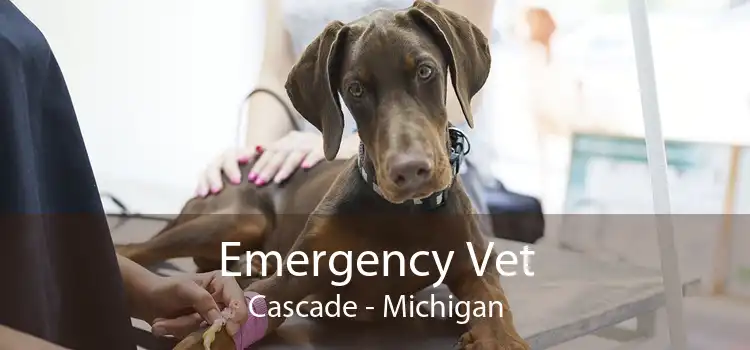 Emergency Vet Cascade - Michigan