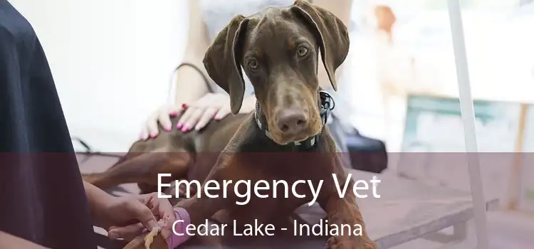 Emergency Vet Cedar Lake - Indiana