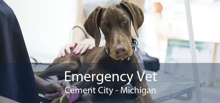 Emergency Vet Cement City - Michigan