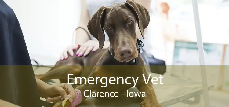 Emergency Vet Clarence - Iowa