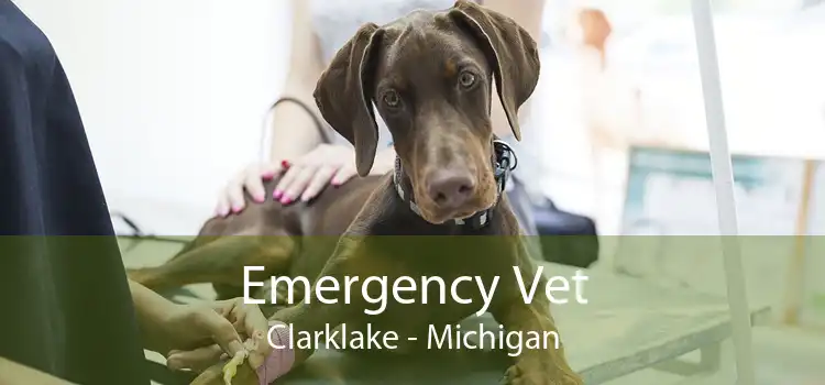 Emergency Vet Clarklake - Michigan
