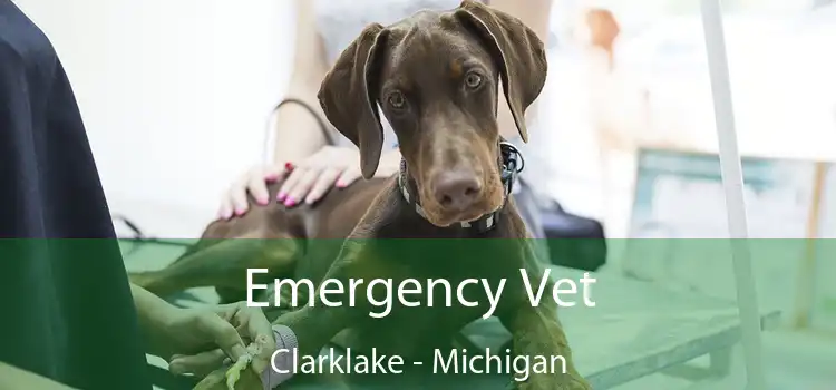 Emergency Vet Clarklake - Michigan