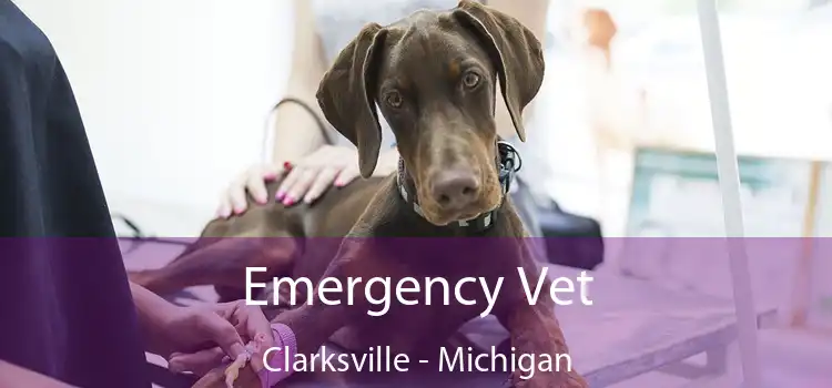 Emergency Vet Clarksville - Michigan