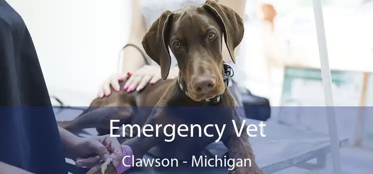 Emergency Vet Clawson - Michigan