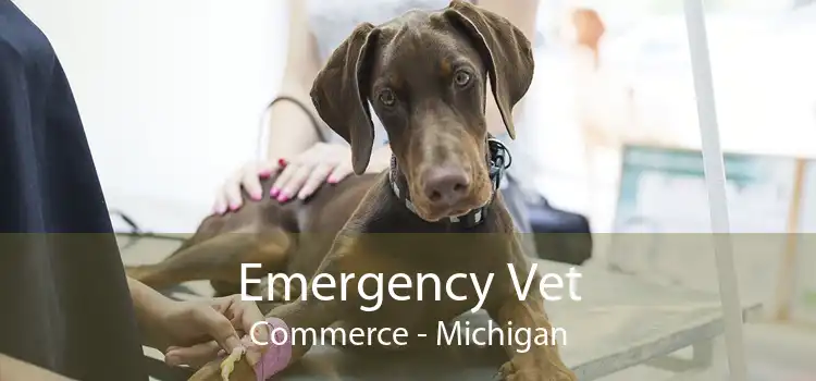 Emergency Vet Commerce - Michigan