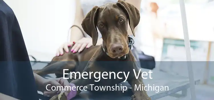 Emergency Vet Commerce Township - Michigan