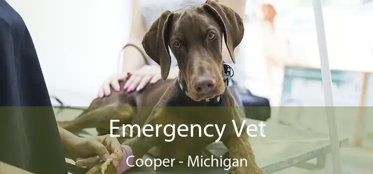 Emergency Vet Cooper - Michigan