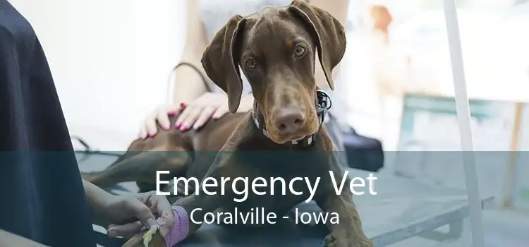 Emergency Vet Coralville - Iowa