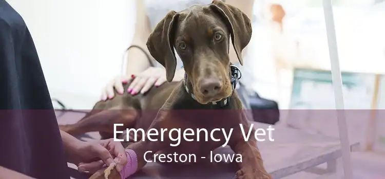 Emergency Vet Creston - Iowa