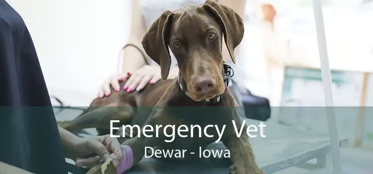 Emergency Vet Dewar - Iowa