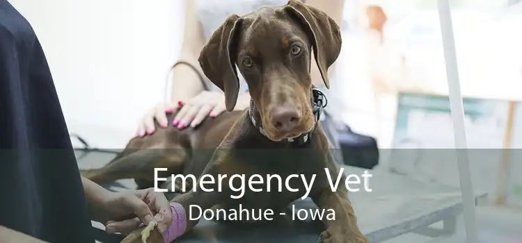 Emergency Vet Donahue - Iowa