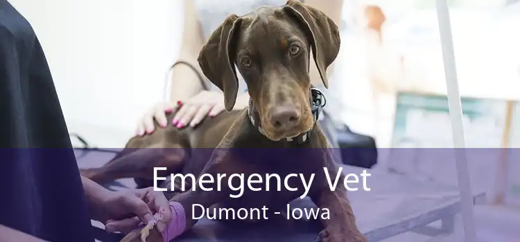 Emergency Vet Dumont - Iowa