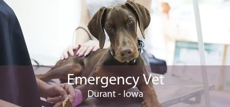 Emergency Vet Durant - Iowa