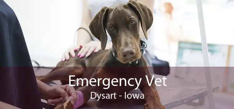 Emergency Vet Dysart - Iowa