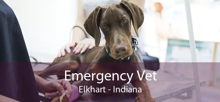 Emergency Vet Elkhart - Indiana