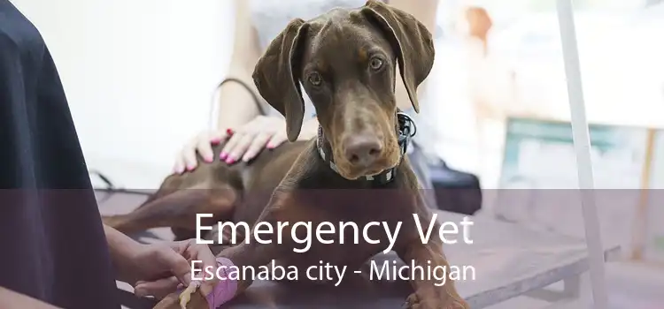 Emergency Vet Escanaba city - Michigan