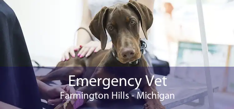 Emergency Vet Farmington Hills - Michigan