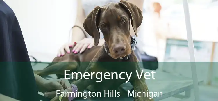 Emergency Vet Farmington Hills - Michigan