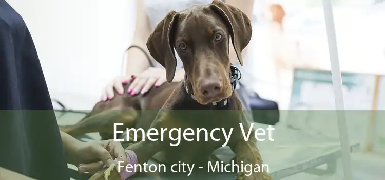 Emergency Vet Fenton city - Michigan