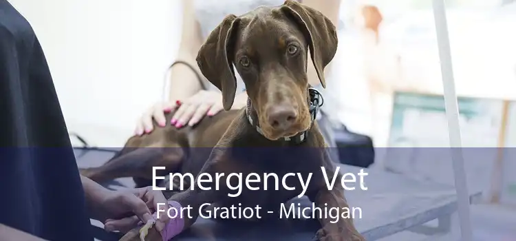 Emergency Vet Fort Gratiot - Michigan