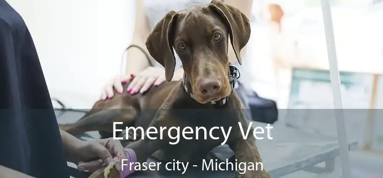 Emergency Vet Fraser city - Michigan