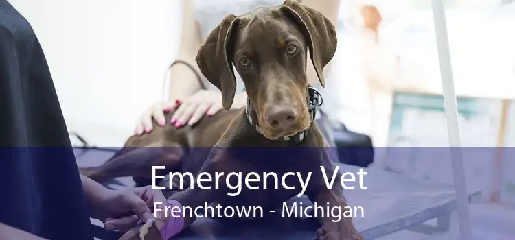 Emergency Vet Frenchtown - Michigan