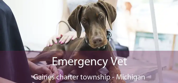 Emergency Vet Gaines charter township - Michigan