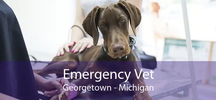 Emergency Vet Georgetown - Michigan