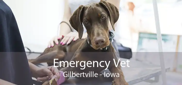Emergency Vet Gilbertville - Iowa
