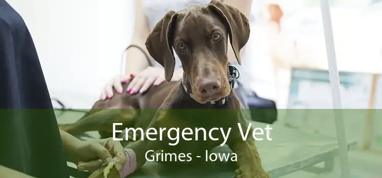 Emergency Vet Grimes - Iowa
